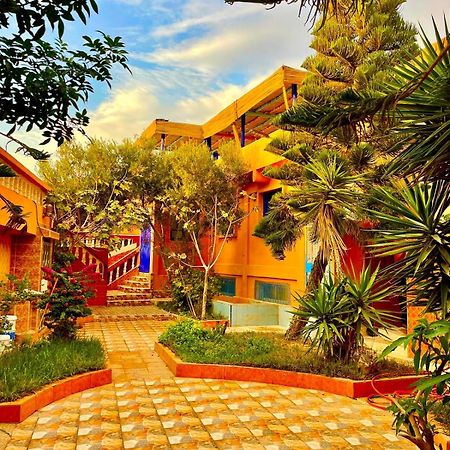 Bed and Breakfast Surf & Salsa Ocean House Tamraght Exteriér fotografie