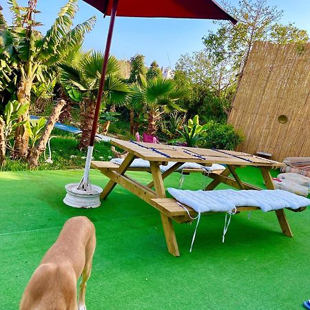 Bed and Breakfast Surf & Salsa Ocean House Tamraght Exteriér fotografie