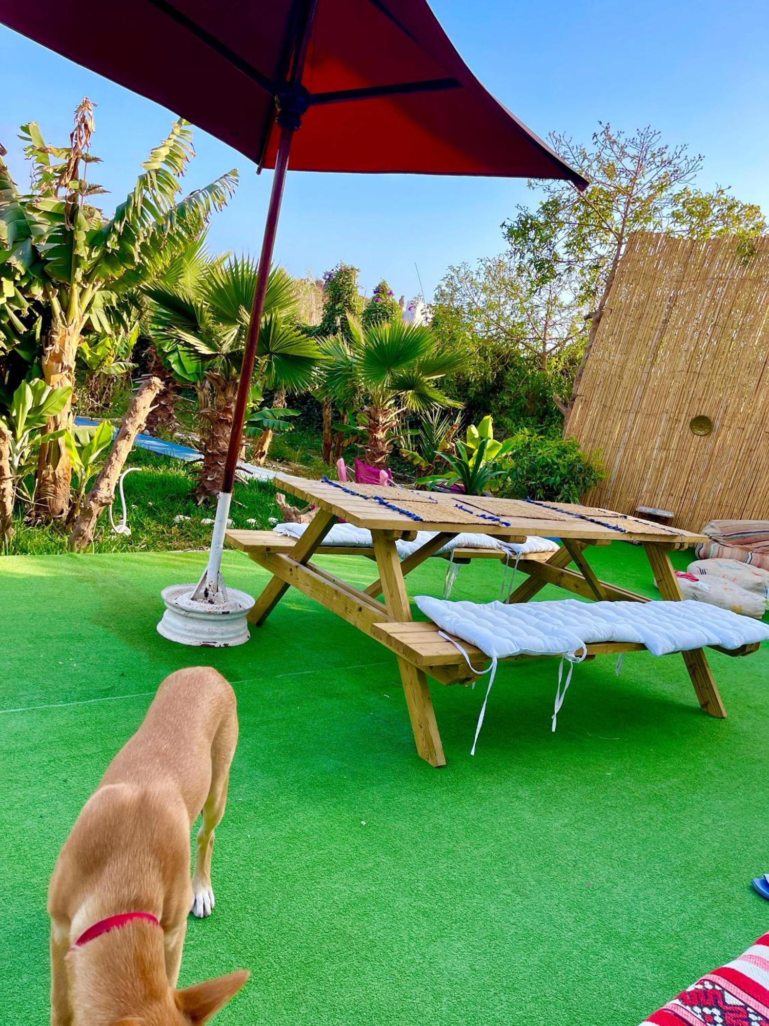Bed and Breakfast Surf & Salsa Ocean House Tamraght Exteriér fotografie